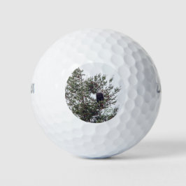 Bald-Adler P2825 Golfball