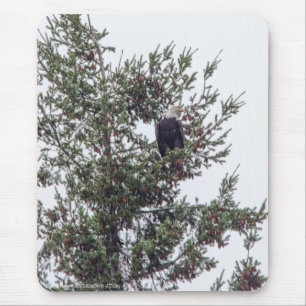Bald-Adler P2825 Mousepad