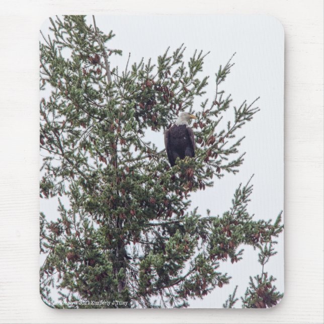 Bald-Adler P2825 Mousepad (Vorne)