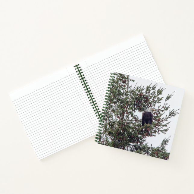 Bald-Adler P2825 Notizbuch (Innenseite)