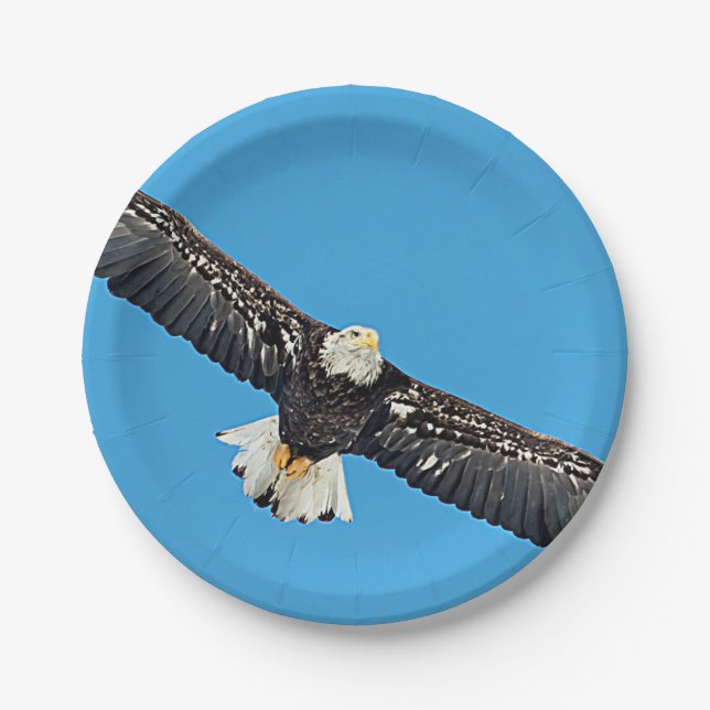 Bald-Adler Pappteller (Vorderseite)