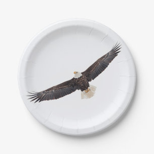 Bald-Adler Pappteller