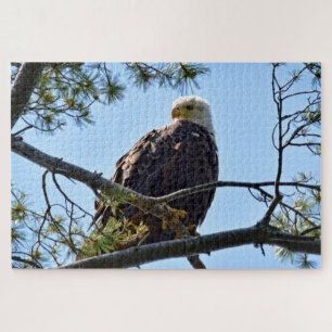 Bald Adler Perch - 20x30 - 1014 Stk. Puzzle