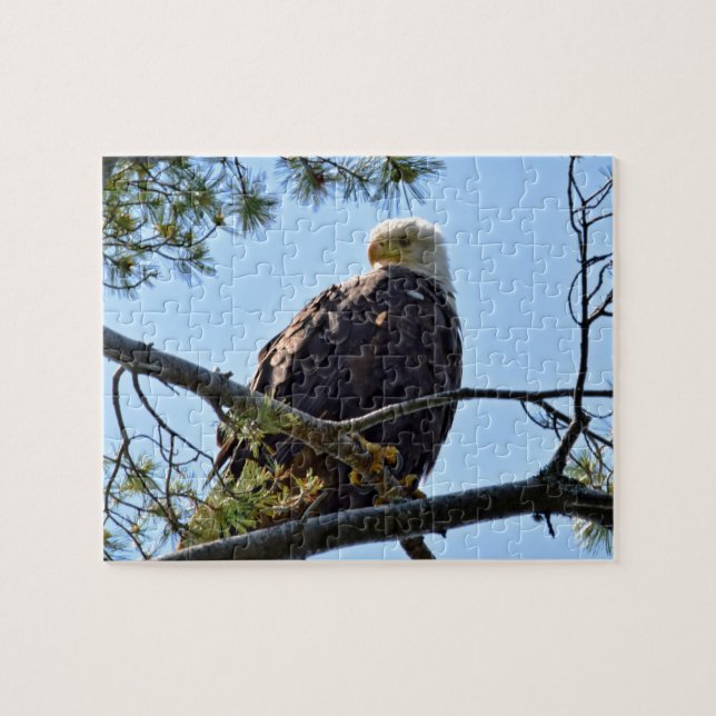 Bald Adler Perch - 8x10 - 110 Stk. Puzzle (Horizontal)