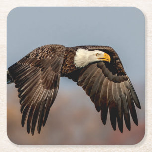 Bald-Adler Rechteckiger Pappuntersetzer