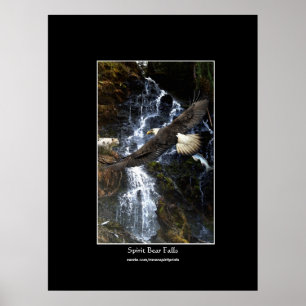 Bald Adler, Spirit Bear & Water Fall Art Poster