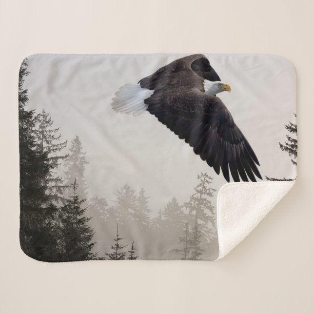 Bald-Adler stürzt durch Nebel Sherpadecke (Vorderseite (Horizontal))