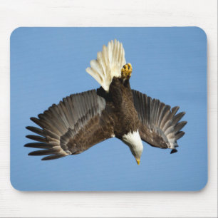 Bald-Adler taucht ins Wasser Mousepad