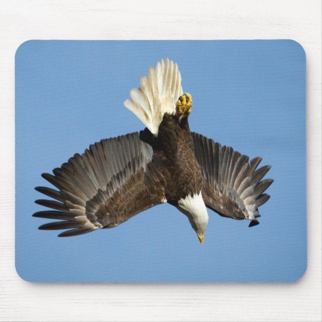 Bald-Adler taucht ins Wasser Mousepad (Vorne)