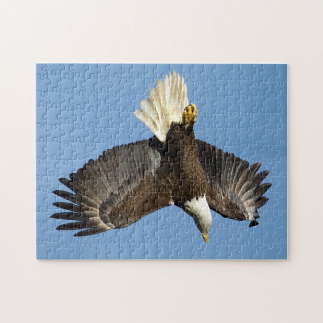 Bald-Adler taucht ins Wasser Puzzle (Horizontal)