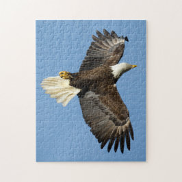 Bald-Adler taucht ins Wasser Puzzle