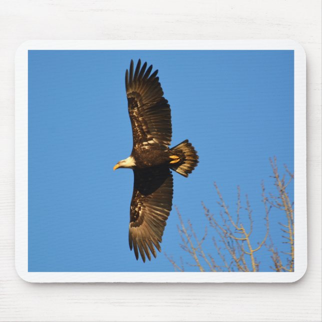 Bald-Adler über Bäumen Mousepad (Vorne)