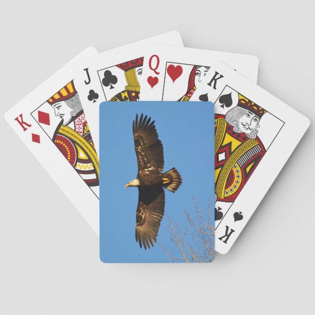 Bald-Adler über Bäumen Spielkarten (Rückseite)