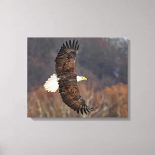 Bald Adler über Herbstbäume Leinwanddruck