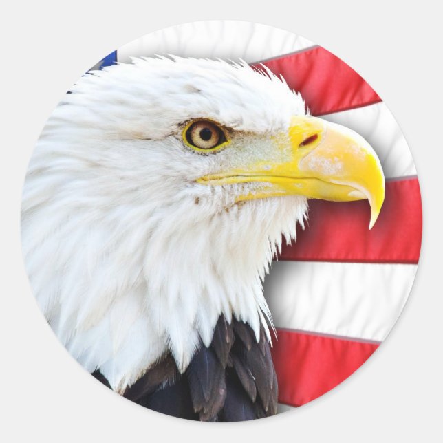 Bald Adler und Flagge Runder Aufkleber (Vorderseite)