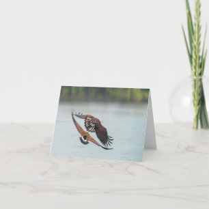 Bald Adler und Gänse Wildlife Blank Jeder Anlass Feiertagskarte