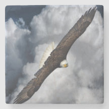 Bald Adler und Wolken Himmel