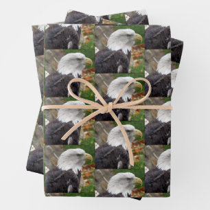 Bald-Adler - Verpackungspapierblätter Geschenkpapier Set