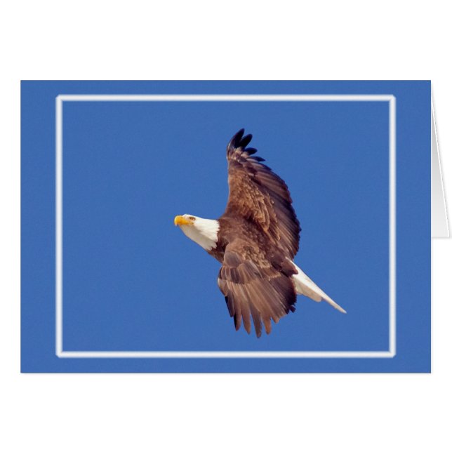 Bald Adleraugen zum Himmel (Vorderseite (Horizontal))
