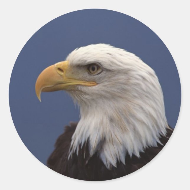 Bald-Adlerprofil Runder Aufkleber (Vorderseite)