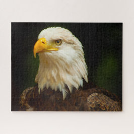 Bald Adlervogel von Prey. Puzzle