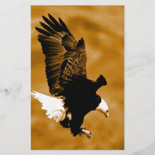 Bald American Eagle
