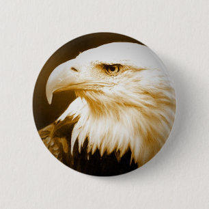 Bald American Eagle Eye Button