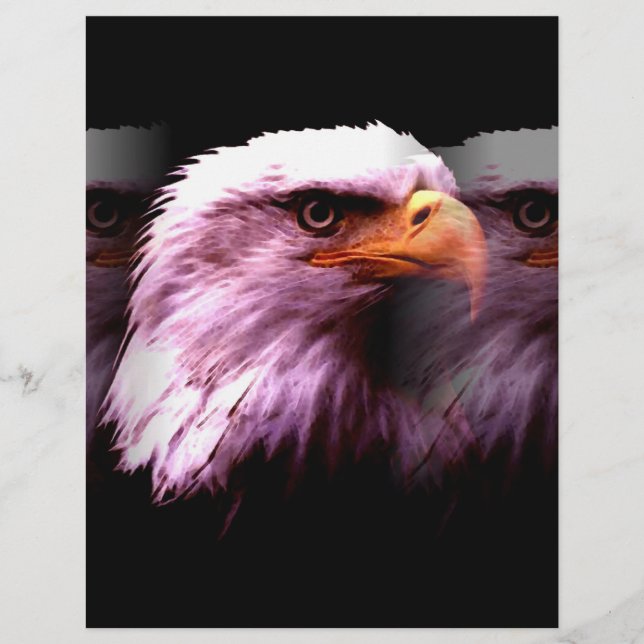 Bald American Eagle Flyer (Vorne)