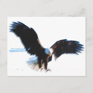 Bald American Eagle Landing Postkarte