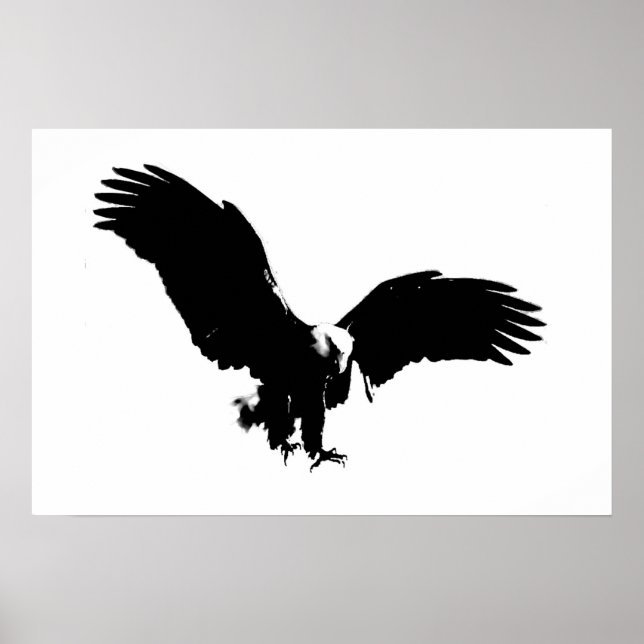 Bald American Eagle Poster Print BW Eagles Posters (Vorne)