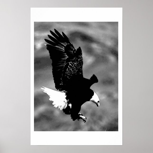 Bald American Eagle Poster Print BW Eagles Posters (Vorne)
