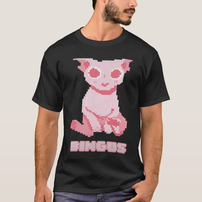 Bald Bingus My Beloved Hairless Sphinx Cat T-Shirt (Vorderseite)