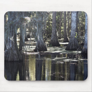 Bald Cypress Mousepad