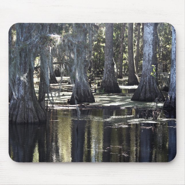 Bald Cypress Mousepad (Vorne)