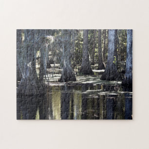 Bald Cypress Puzzle