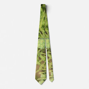 Bald Cypress Seed Cone Neck Tie Krawatte