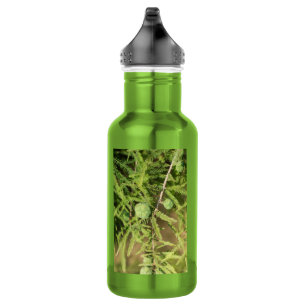 Bald Cypress Seed Cone Water Flasche Edelstahlflasche