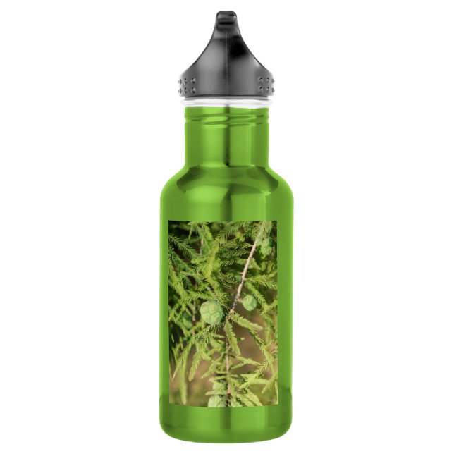 Bald Cypress Seed Cone Water Flasche Edelstahlflasche (Rechts)