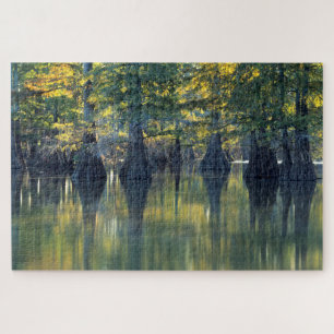 Bald Cypress Trees   Horseshoe Lake Illinois Puzzle
