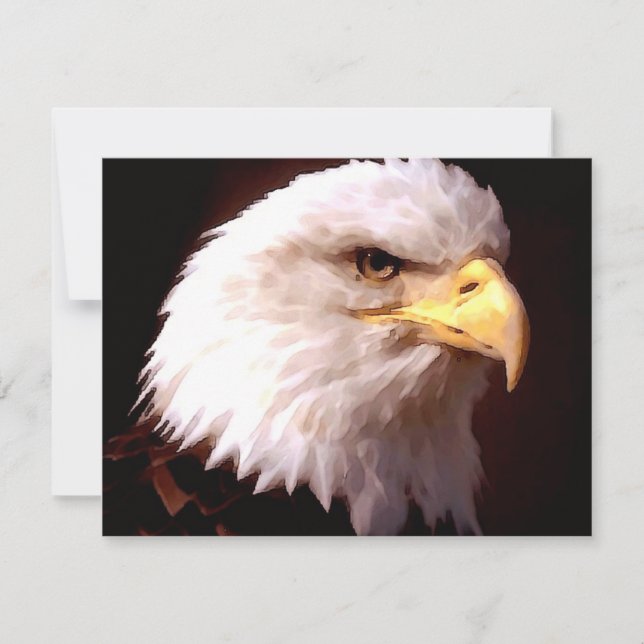 Bald Eagle (Vorderseite)