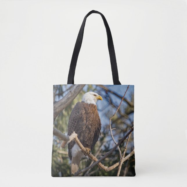 Bald Eagle (Vorderseite)