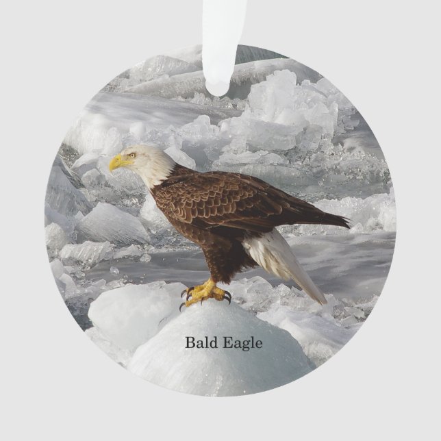 Bald Eagle Acryloramen Ornament (Vorderseite)
