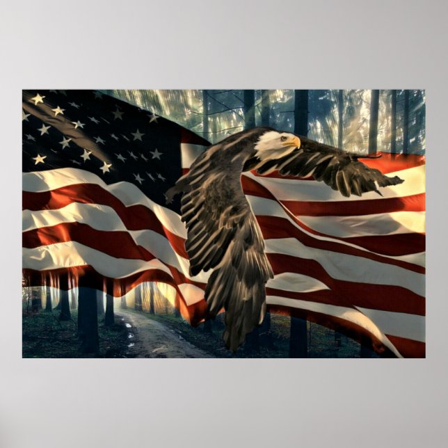 Bald Eagle American Flag Country Road Poster (Vorne)