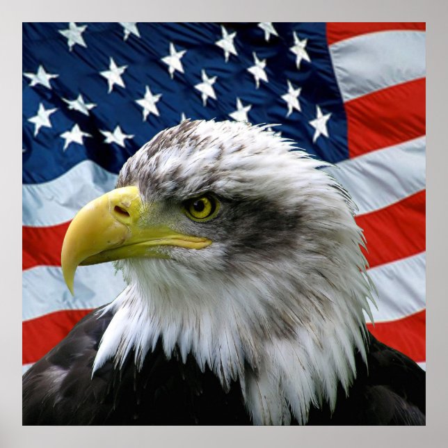 Bald Eagle American Flag Print Poster (Vorne)