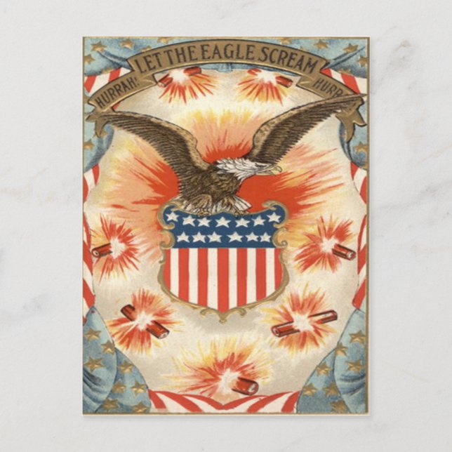 Bald Eagle American Flag Shield Fireworks Postkarte (Vorderseite)
