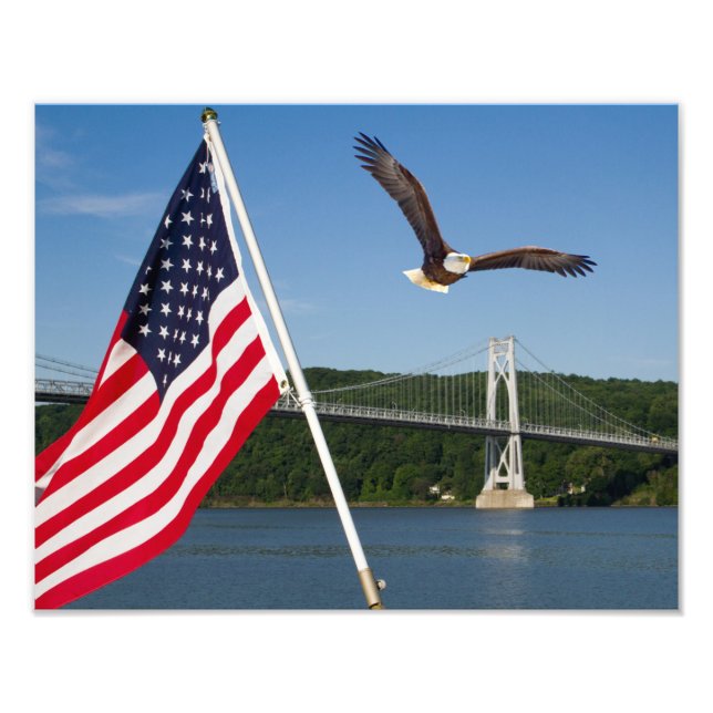 Bald Eagle (amerikanischer Stolz) Fotodruck (Vorne)
