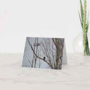 Bald Eagle and Blackhawk Notecard - Blank Inside Dankeskarte