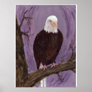 Bald Eagle Art Print Poster