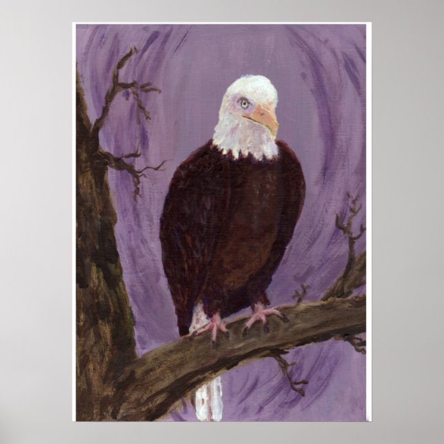 Bald Eagle Art Print Poster (Vorne)