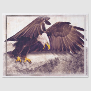 Bald Eagle Artwork Decoupage Seidenpapier